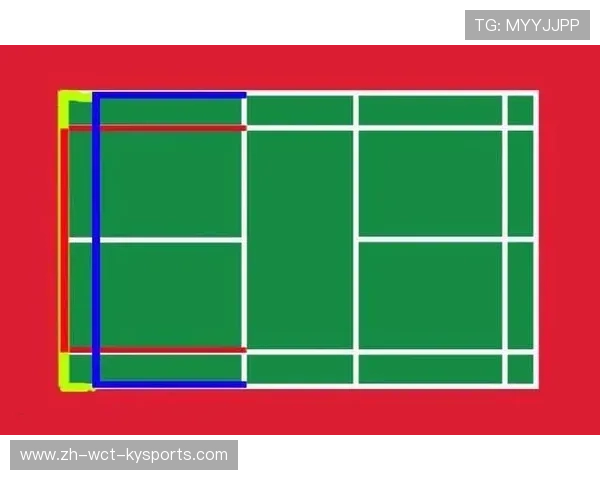 羽毛球界外球规则