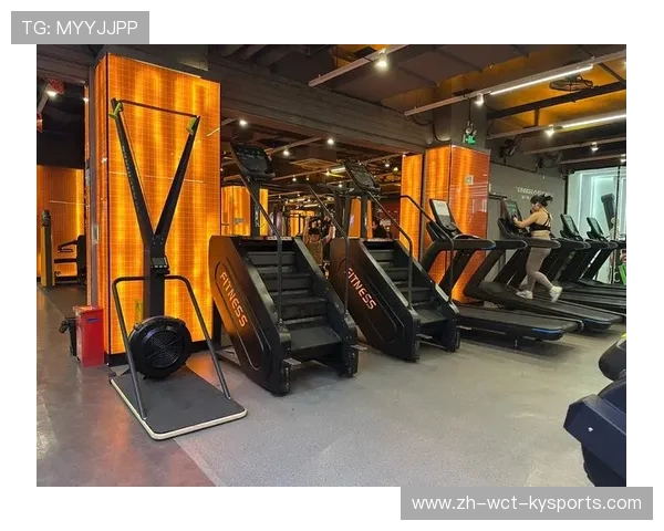 预算有限也能练出好身材:高性价比入门健身器材推荐 预算有限也能练出好身材:高性价比入门健身器材推荐