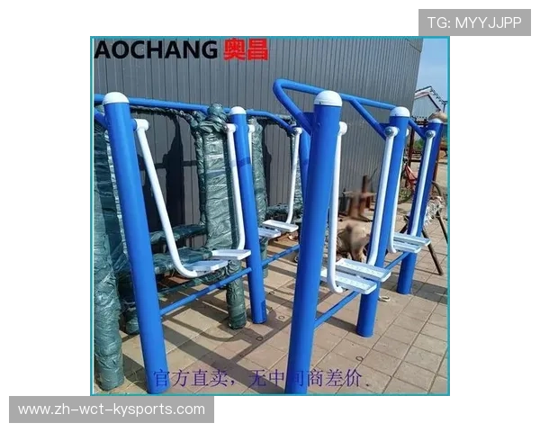 青岛室外健身器材购买地点与品牌推荐:如何选择合适的器材 青岛室外健身器材购买地点与品牌推荐:如何选择合适的器材